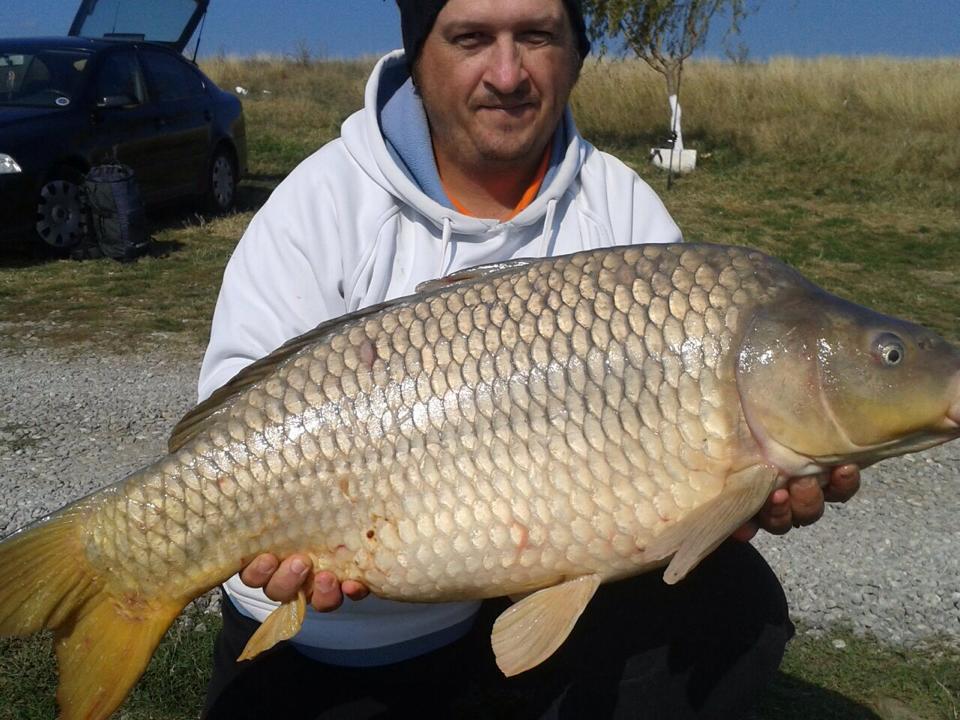 eu - 104078199826677284270645314939038372770298n1.jpg